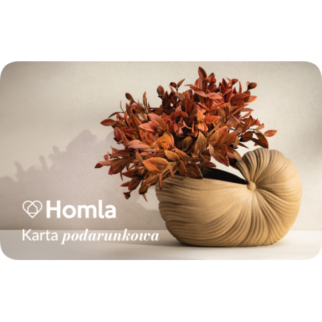 Elektroniczna Karta Podarunkowa Homla 100 zł Elektroniczna Karta Podarunkowa Homla 100 zł
