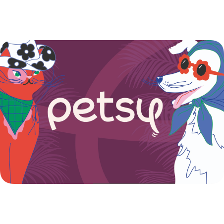 Voucher 300 zł na opiekę petsittera